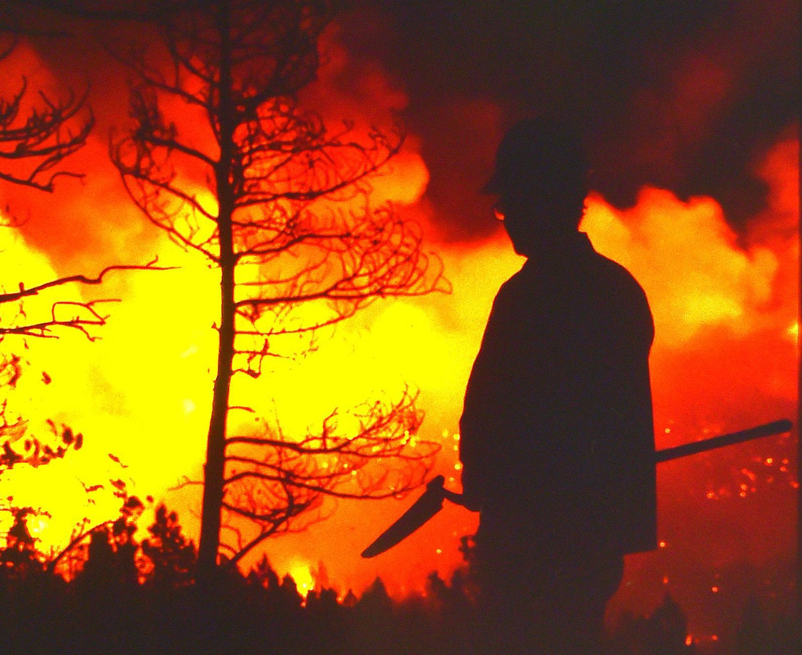 Early Bird fire scene